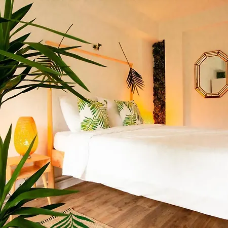 Maison Rebelle * 오스텐드