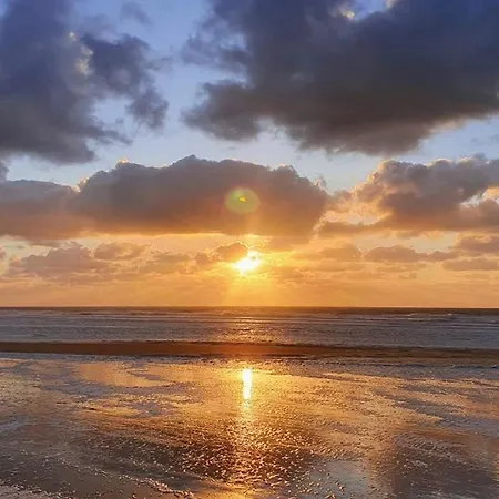 Maison Rebelle Οστένδη