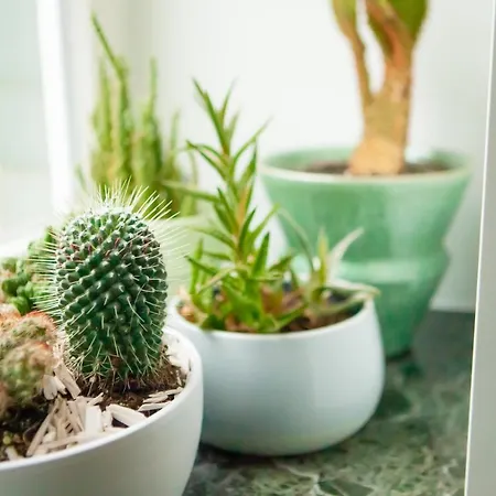 Maison Rebelle * Ostend